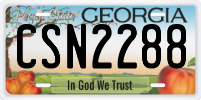 GA license plate CSN2288