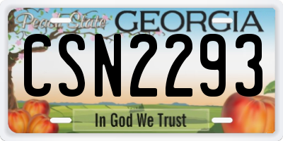 GA license plate CSN2293