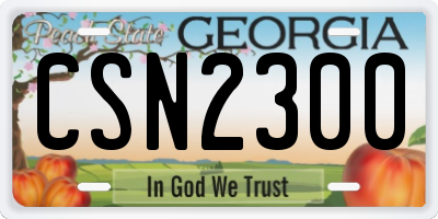 GA license plate CSN2300