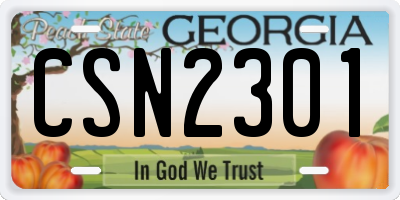 GA license plate CSN2301