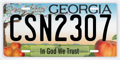 GA license plate CSN2307