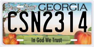 GA license plate CSN2314