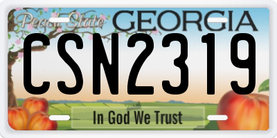 GA license plate CSN2319