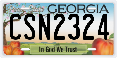 GA license plate CSN2324
