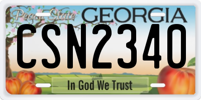 GA license plate CSN2340