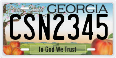 GA license plate CSN2345