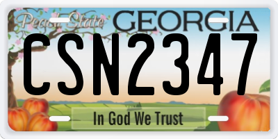 GA license plate CSN2347