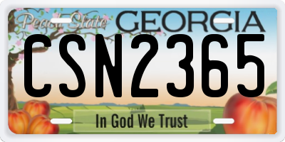 GA license plate CSN2365