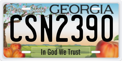 GA license plate CSN2390
