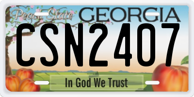 GA license plate CSN2407