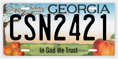 GA license plate CSN2421