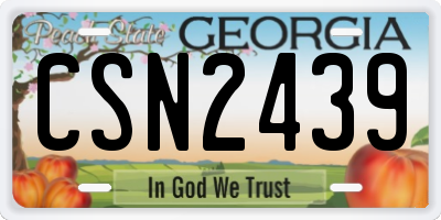 GA license plate CSN2439