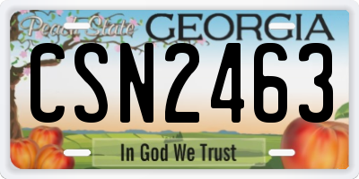 GA license plate CSN2463