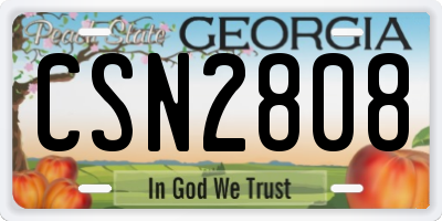 GA license plate CSN2808