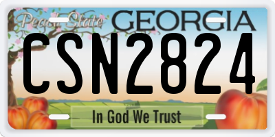 GA license plate CSN2824