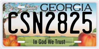 GA license plate CSN2825