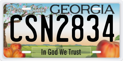 GA license plate CSN2834