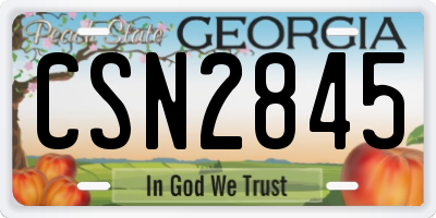 GA license plate CSN2845