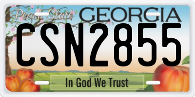 GA license plate CSN2855