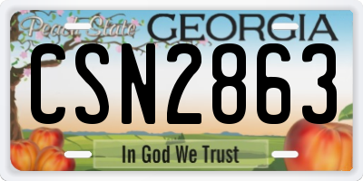 GA license plate CSN2863