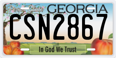 GA license plate CSN2867