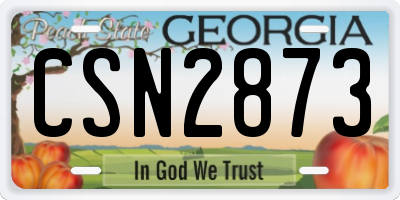 GA license plate CSN2873