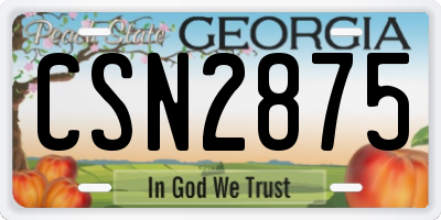 GA license plate CSN2875