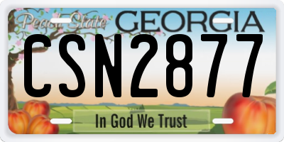 GA license plate CSN2877