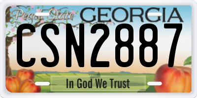 GA license plate CSN2887