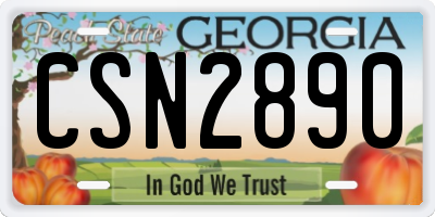 GA license plate CSN2890