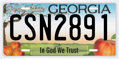 GA license plate CSN2891