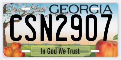 GA license plate CSN2907