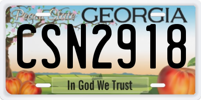 GA license plate CSN2918