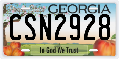 GA license plate CSN2928