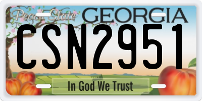GA license plate CSN2951