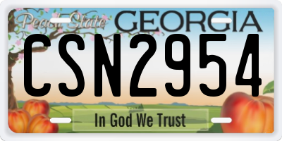 GA license plate CSN2954