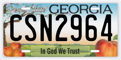 GA license plate CSN2964