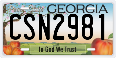 GA license plate CSN2981
