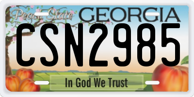 GA license plate CSN2985
