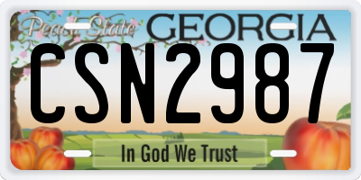 GA license plate CSN2987