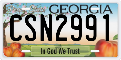 GA license plate CSN2991