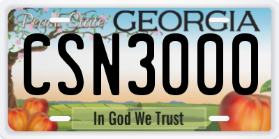 GA license plate CSN3000