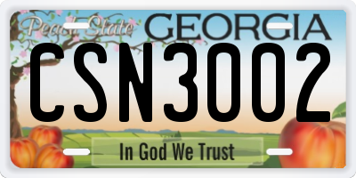 GA license plate CSN3002