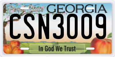 GA license plate CSN3009