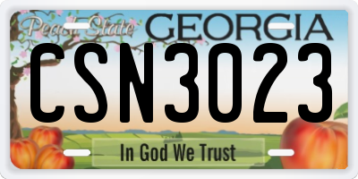 GA license plate CSN3023