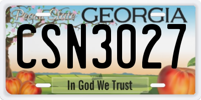 GA license plate CSN3027