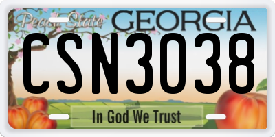 GA license plate CSN3038