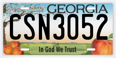 GA license plate CSN3052