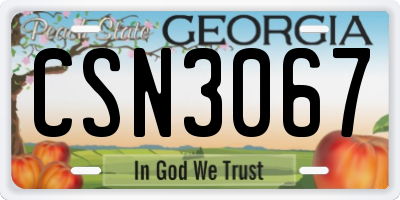 GA license plate CSN3067