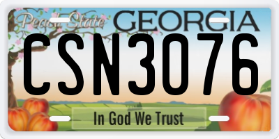 GA license plate CSN3076
